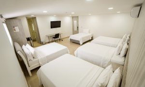 Habitación Multiple